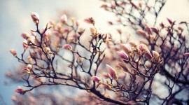 Kopfüber in den Frühling!