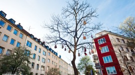Ein Himmel voller Gei ... Gitarren!