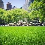 Relax at Bryant Park