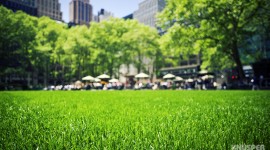 Relax at Bryant Park