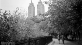 Central Park