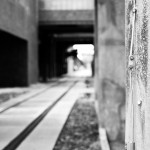 Grau im Kopf