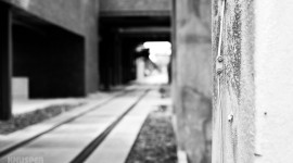 Grau im Kopf